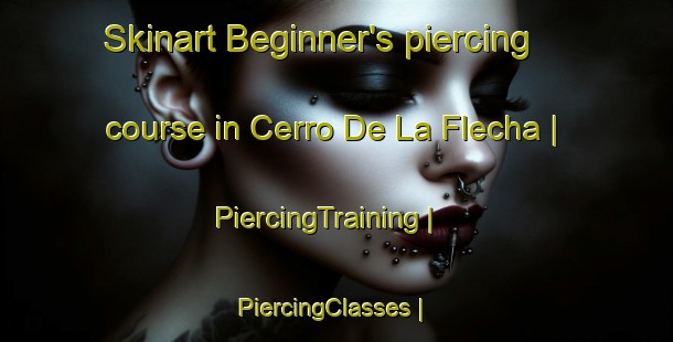 Skinart Beginner's piercing course in Cerro De La Flecha | PiercingTraining | PiercingClasses | SkinartTraining-Mexico